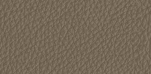 Polsterfarbe Taupe 