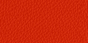 Polsterfarbe Orange 